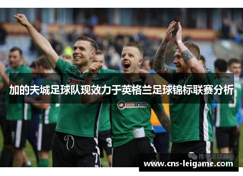 加的夫城足球队现效力于英格兰足球锦标联赛分析
