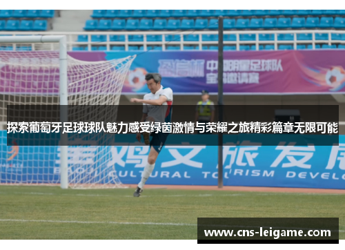探索葡萄牙足球球队魅力感受绿茵激情与荣耀之旅精彩篇章无限可能