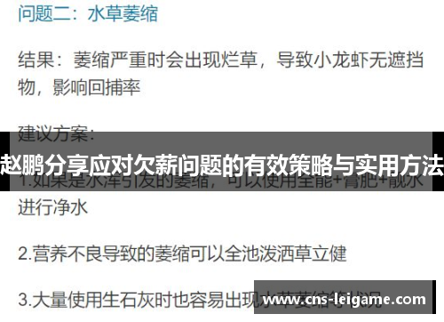 赵鹏分享应对欠薪问题的有效策略与实用方法