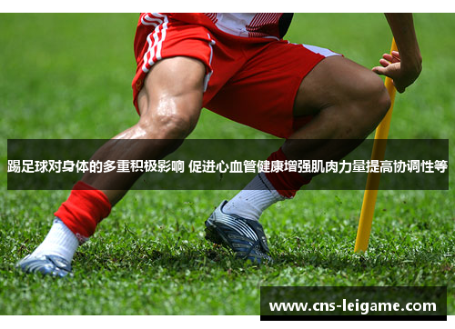 踢足球对身体的多重积极影响 促进心血管健康增强肌肉力量提高协调性等 踢足球对身体的多重积极影响 促进心血管健康增强肌肉力量提高协调性等