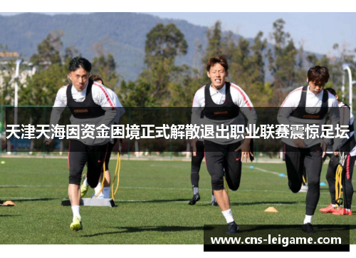 天津天海因资金困境正式解散退出职业联赛震惊足坛 天津天海因资金困境正式解散退出职业联赛震惊足坛
