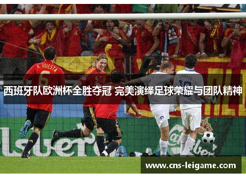 西班牙队欧洲杯全胜夺冠 完美演绎足球荣耀与团队精神
